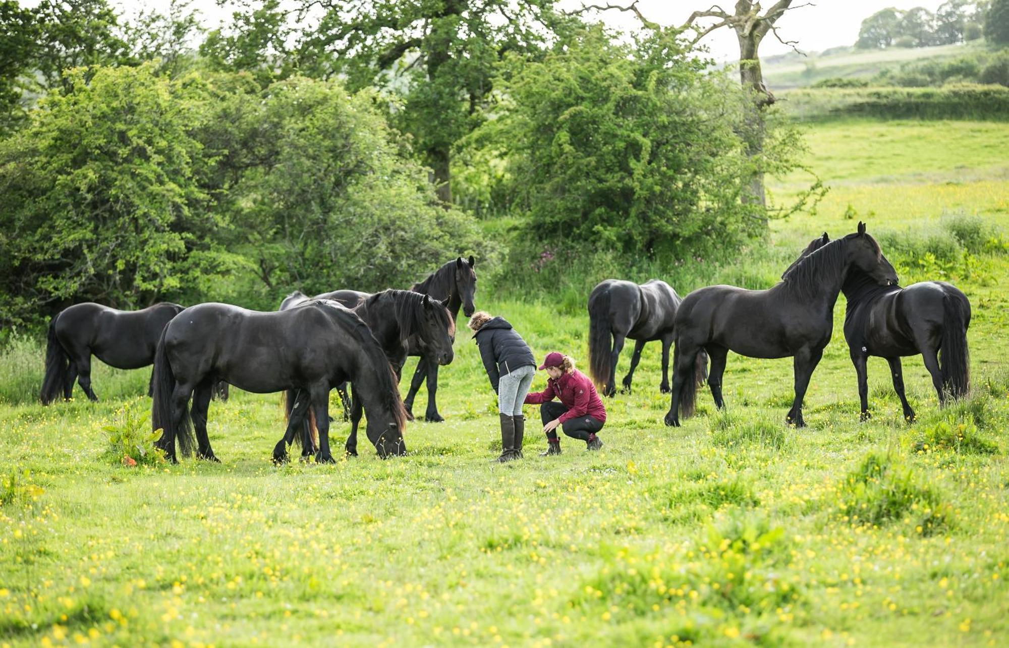 Greenbank Farm House Cartmel Esterno foto